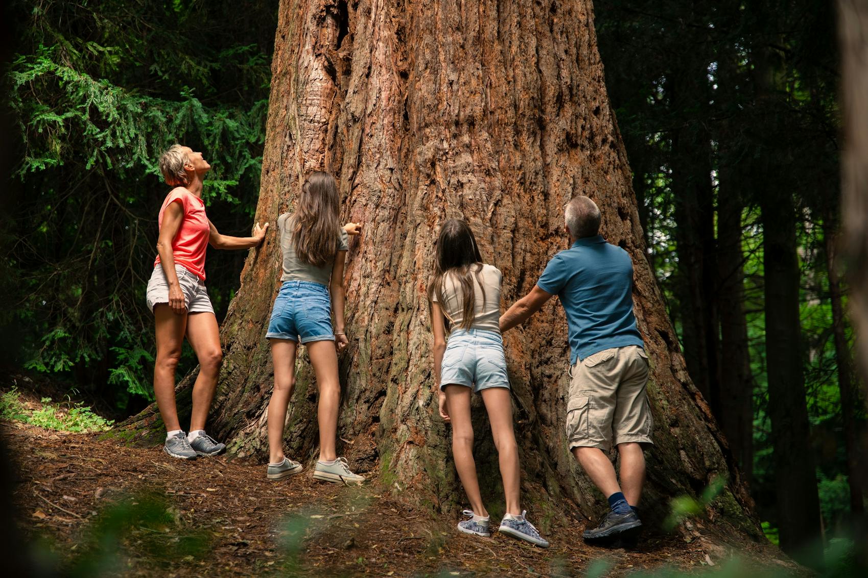 Botanični vrt Pivola